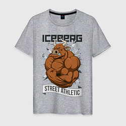 Футболка хлопковая мужская Iceberg: Street Athletic, цвет: меланж