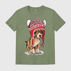 Футболка хлопковая мужская Чихуахуа в шапочке, цвет: авокадо