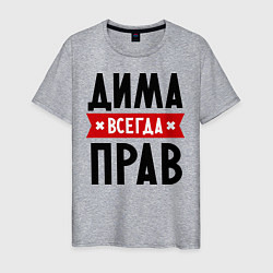 Футболка хлопковая мужская Дима всегда прав, цвет: меланж
