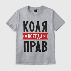 Футболка хлопковая мужская Коля всегда прав, цвет: меланж