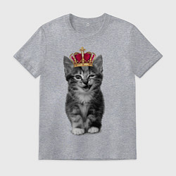 Футболка хлопковая мужская Meow kitten, цвет: меланж