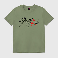 Футболка хлопковая мужская STRAY KIDS BANGCHAN, цвет: авокадо