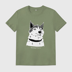 Футболка хлопковая мужская Курьер - Шарик, цвет: авокадо