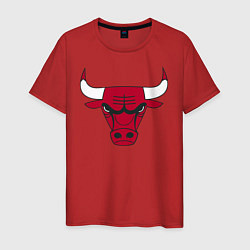 Футболка хлопковая мужская Chicago Bulls, цвет: красный