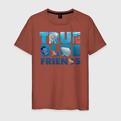 Футболка хлопковая мужская True Blue Friends, цвет: кирпичный