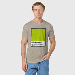 Футболка хлопковая мужская Shrek: Pantone Color, цвет: миндальный — фото 2