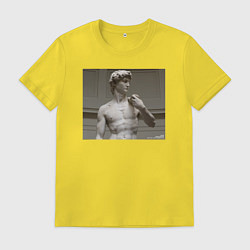 Футболка хлопковая мужская ДАВИД МИКЕЛАНДЖЕЛО, цвет: желтый