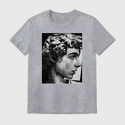 Футболка хлопковая мужская Давид Скульптура Тимоти Шаламе, цвет: меланж