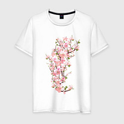 Футболка хлопковая мужская Весна Цветущая сакура Japan, цвет: белый