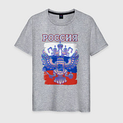 Футболка хлопковая мужская Россия Герб Флаг, цвет: меланж