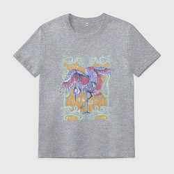 Футболка хлопковая мужская Раскройте свою мечту, цвет: меланж