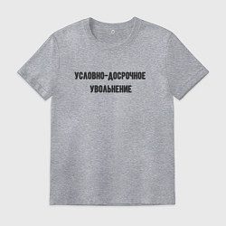 Футболка хлопковая мужская Условно-досрочное, цвет: меланж