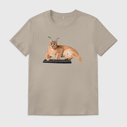 Футболка хлопковая мужская Большой кот Шлепа с клавиатурой, цвет: миндальный