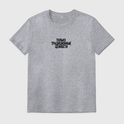 Футболка хлопковая мужская Только традиционные ценности как у Лебедева, цвет: меланж