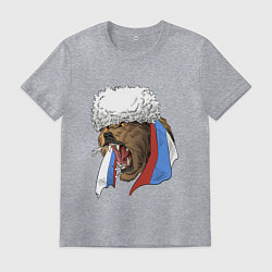 Футболка хлопковая мужская Русский медведь арт, цвет: меланж