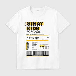 Футболка хлопковая мужская Stray kids ticket, цвет: белый
