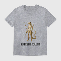 Футболка хлопковая мужская Serpentini Toiletini, цвет: меланж
