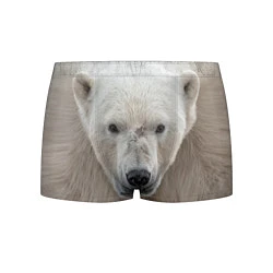 Трусы-боксеры мужские Белый медведь, цвет: 3D-принт