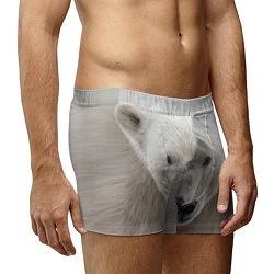 Трусы-боксеры мужские Белый медведь, цвет: 3D-принт — фото 2