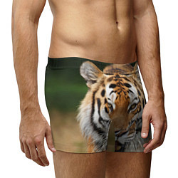 Трусы-боксеры мужские Рык тигра, цвет: 3D-принт — фото 2
