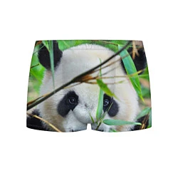Трусы-боксеры мужские Панда в лесу, цвет: 3D-принт