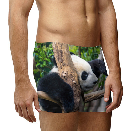 Мужские трусы Бамбуковый медведь / 3D-принт – фото 3