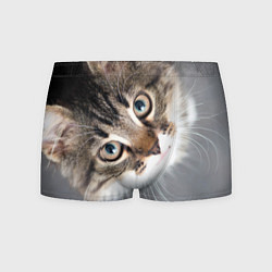 Трусы-боксеры мужские Кошачий взгляд, цвет: 3D-принт