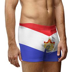 Трусы-боксеры мужские Флаг и герб Голландии, цвет: 3D-принт — фото 2