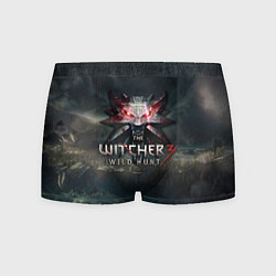 Мужские трусы The Witcher 3: Wild Hunt