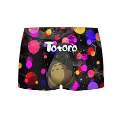 Трусы-боксеры мужские Totoro, цвет: 3D-принт