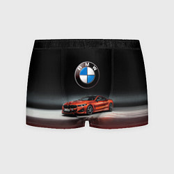 Мужские трусы BMW