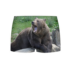 Трусы-боксеры мужские Медведь, цвет: 3D-принт