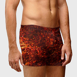 Трусы-боксеры мужские Лиственной покров, цвет: 3D-принт — фото 2