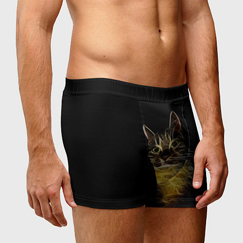 Мужские трусы Дымчато-световой кот / 3D-принт – фото 3