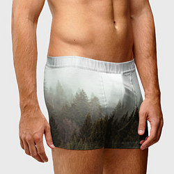 Трусы-боксеры мужские Деревья, цвет: 3D-принт — фото 2
