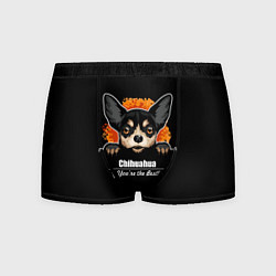 Мужские трусы Чихуахуа Chihuahua