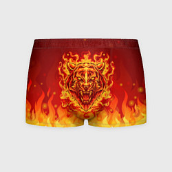 Трусы-боксеры мужские Огненный тигр в пламени, цвет: 3D-принт