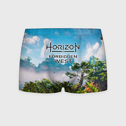 Мужские трусы Horizon Forbidden West Хоризон Запретный Запад