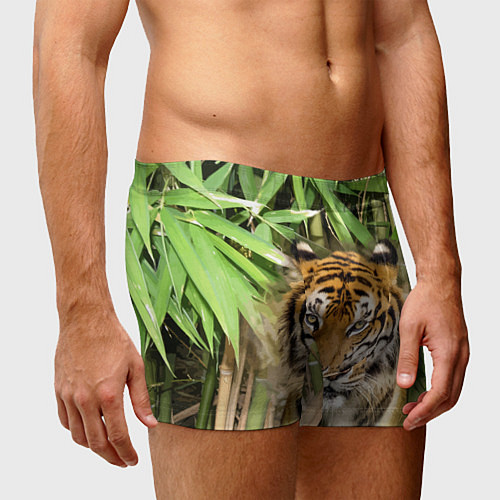 Мужские трусы Матёрый тигр в зарослях бамбука / 3D-принт – фото 3