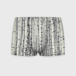 Мужские трусы Русские берёзки - роща