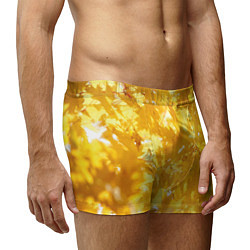 Трусы-боксеры мужские Золотые листья на ветках, цвет: 3D-принт — фото 2