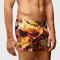 Трусы-боксеры мужские Куча осенних листьев, цвет: 3D-принт — фото 2