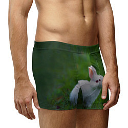 Трусы-боксеры мужские Кролик на фоне травы, цвет: 3D-принт — фото 2