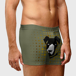 Трусы-боксеры мужские Сторожевой черный пёс, цвет: 3D-принт — фото 2