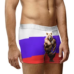 Трусы-боксеры мужские Накаченный медведь на Российском флаге, цвет: 3D-принт — фото 2