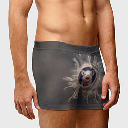 Трусы-боксеры мужские Мордочка забавного поросёнка, цвет: 3D-принт — фото 2
