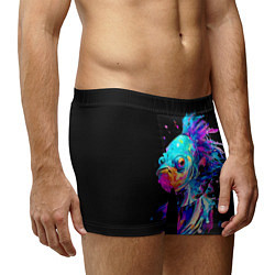 Трусы-боксеры мужские Бета рыба, цвет: 3D-принт — фото 2
