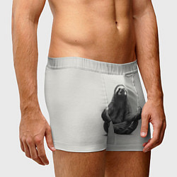 Трусы-боксеры мужские Ленивиц в позе лотоса, цвет: 3D-принт — фото 2