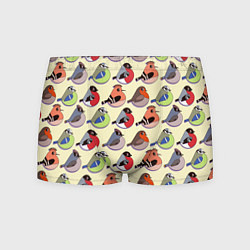 Трусы-боксеры мужские Веселые птички, цвет: 3D-принт