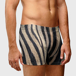 Трусы-боксеры мужские Мех зебры, цвет: 3D-принт — фото 2